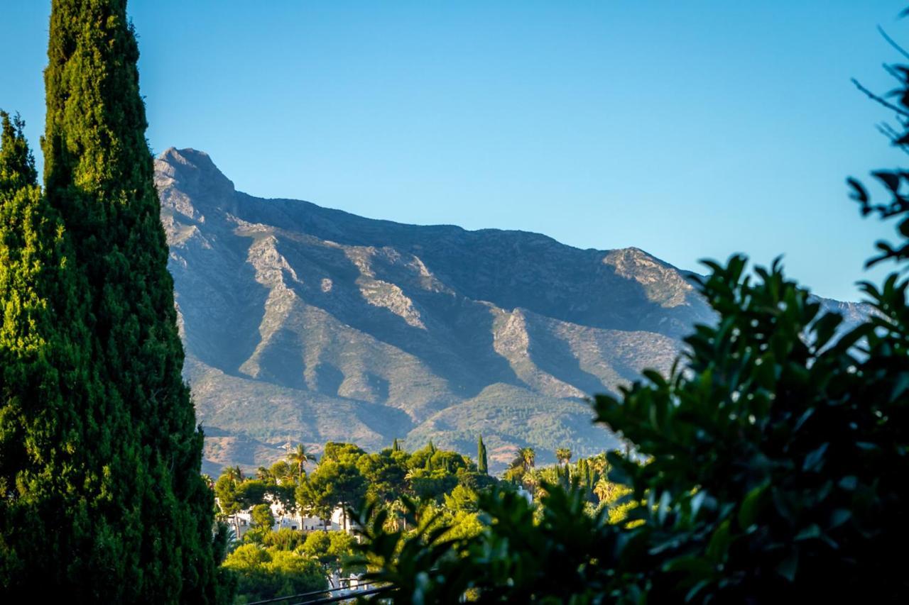 Banus - Ceibo Centro Plaza Banus Leilighet Marbella
